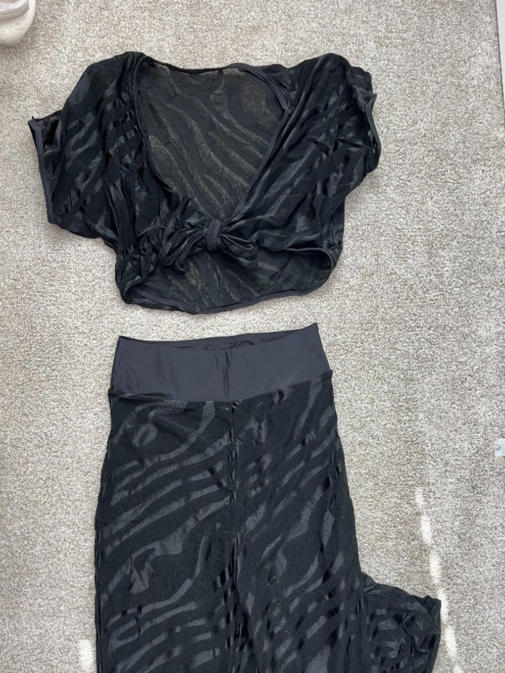 Black Sheer Burnout Velvet Two Piece Set Crop Top Wide Leg Pants Y2K